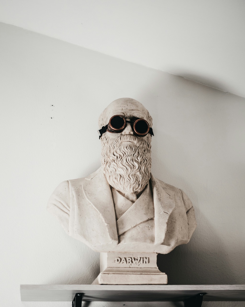 darwin-bust-steampunk-goggles.jpeg