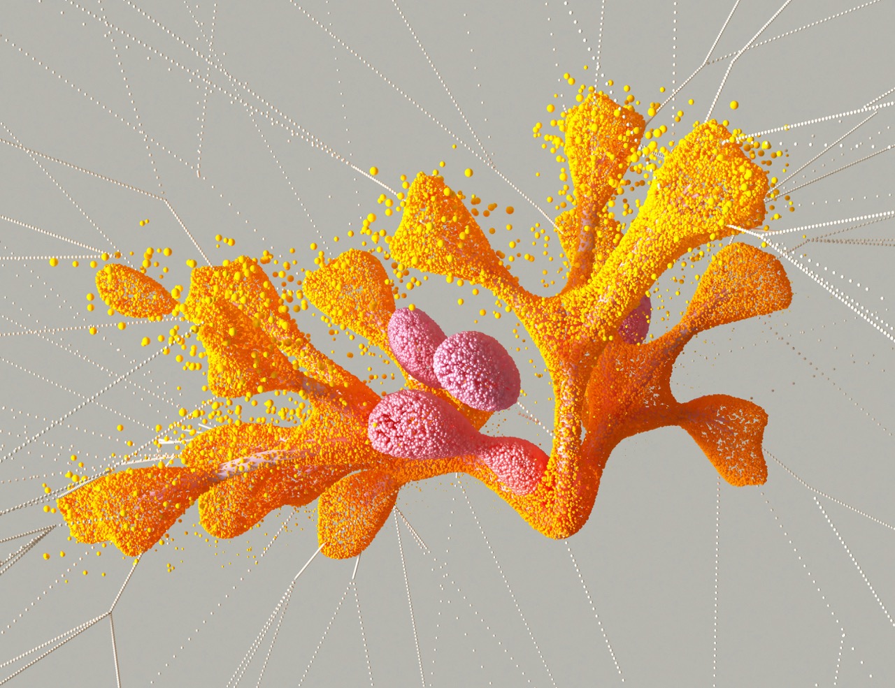 digital-orange-particle-network.jpeg